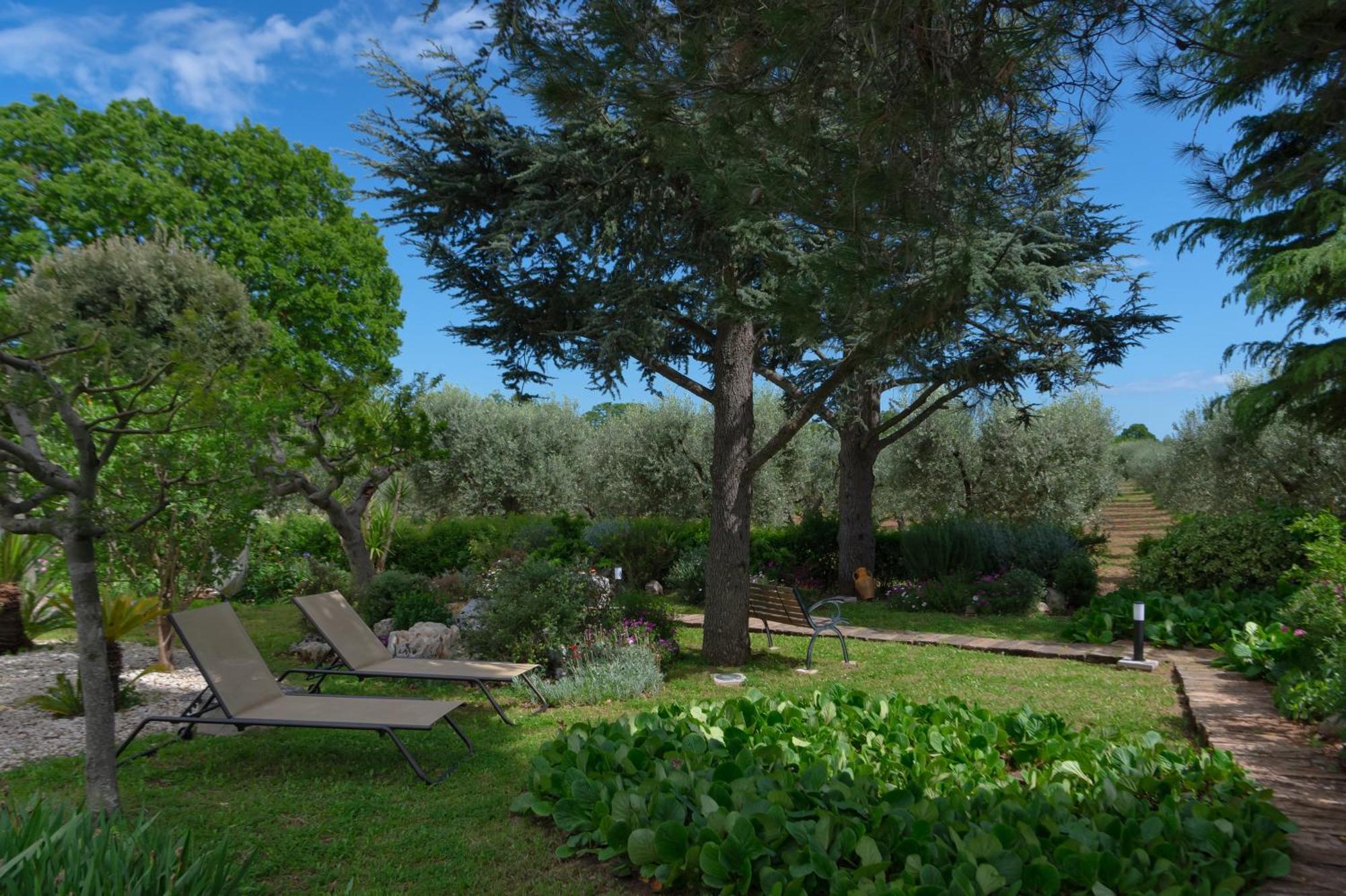 Agriturismo Masseria Aprile Locorotondo Εξωτερικό φωτογραφία