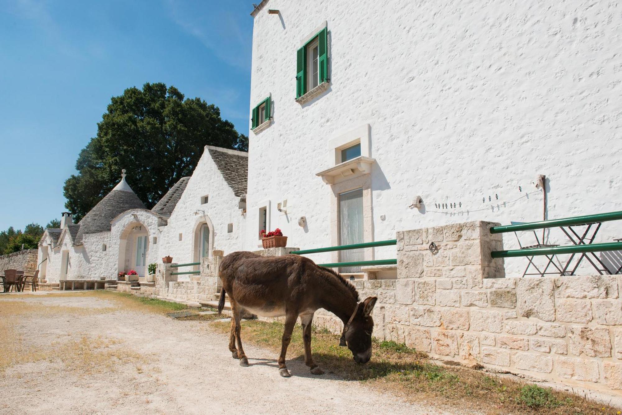 Agriturismo Masseria Aprile Locorotondo Εξωτερικό φωτογραφία